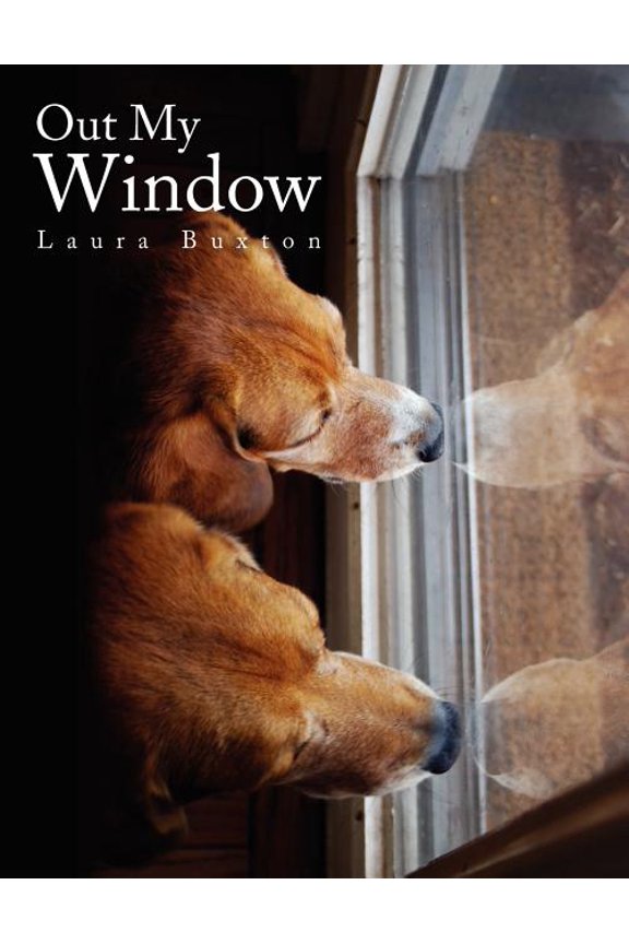 Out My Window (Paperback)