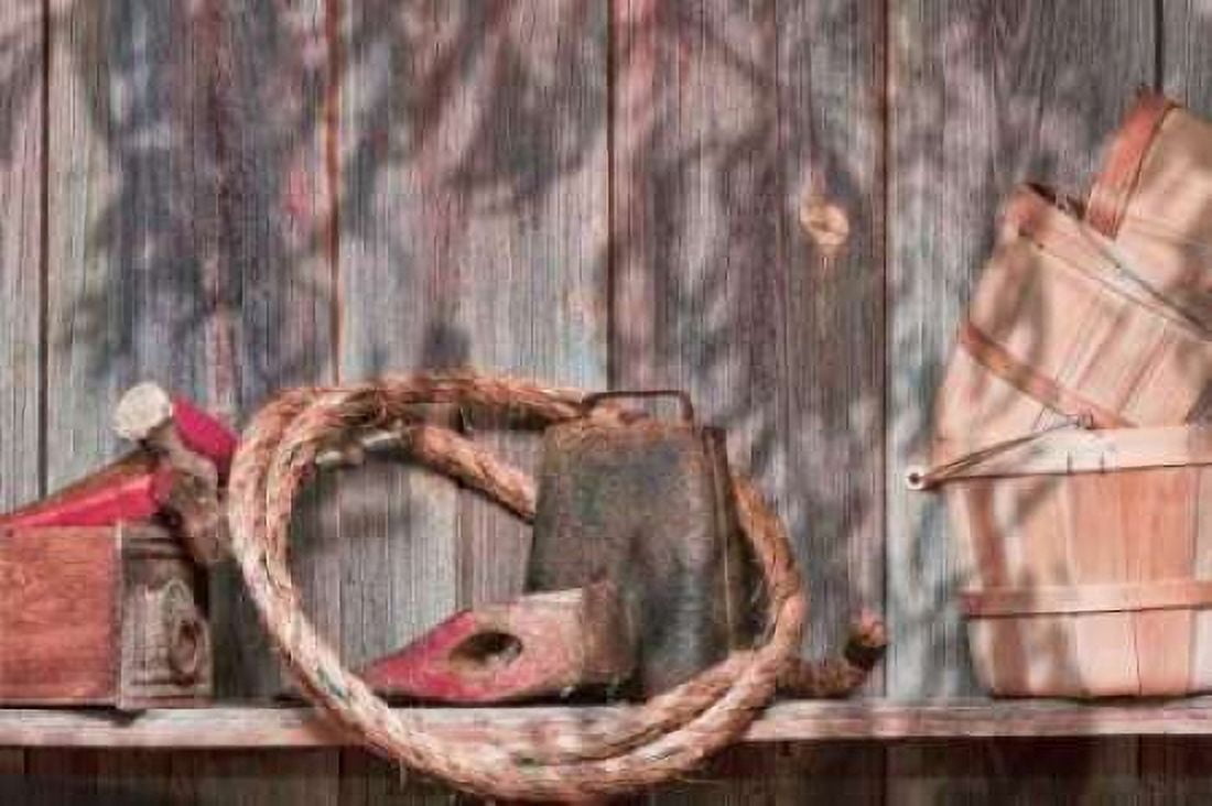 Out in the Barn IV Canvas Art - C Thomas McNemar (12 x 18)