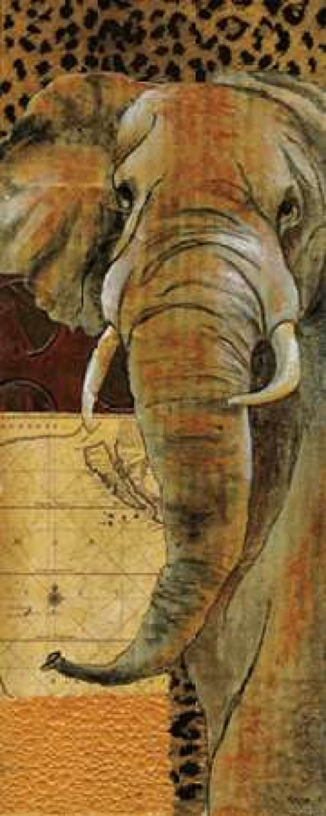 Out of Africa II Canvas Art - Tava Studios (24 x 48)