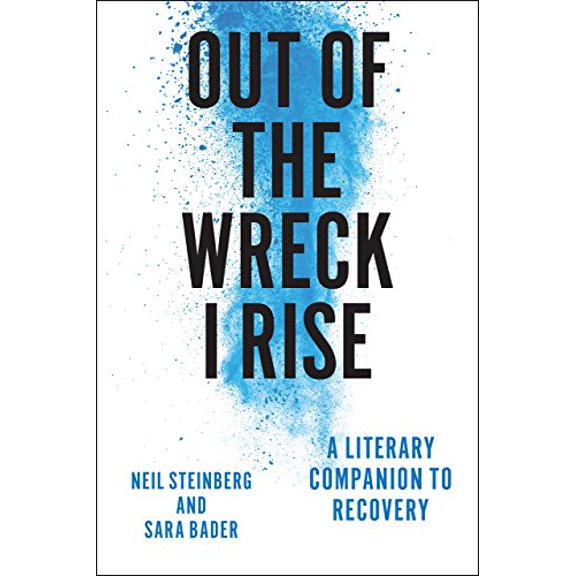 Pre-Owned Out of the Wreck I Rise: A Literary Companion to Recovery (Hardcover) 022614013X 9780226140131