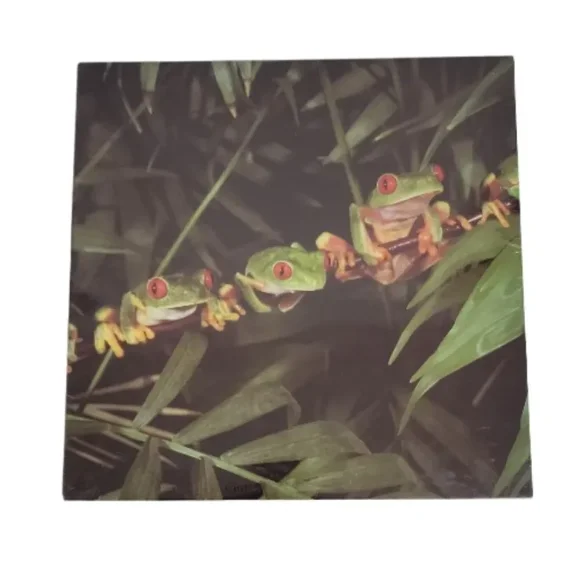 Out on a Limb Nordevco Frogs 500+ PC Puzzle by Animals Animals & Zig Leszczynski