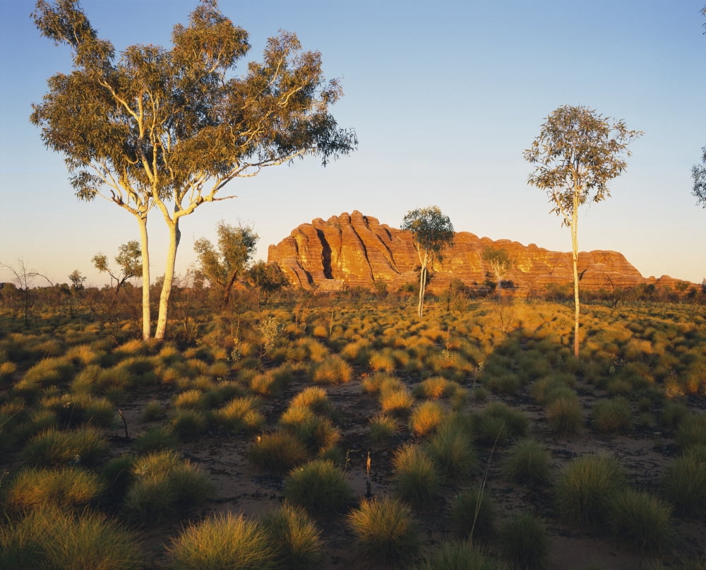 Outback Australia with rock formation in the distance Northern Territory Australia Canvas Art - David Kirkland Design Pics (34 x 26)