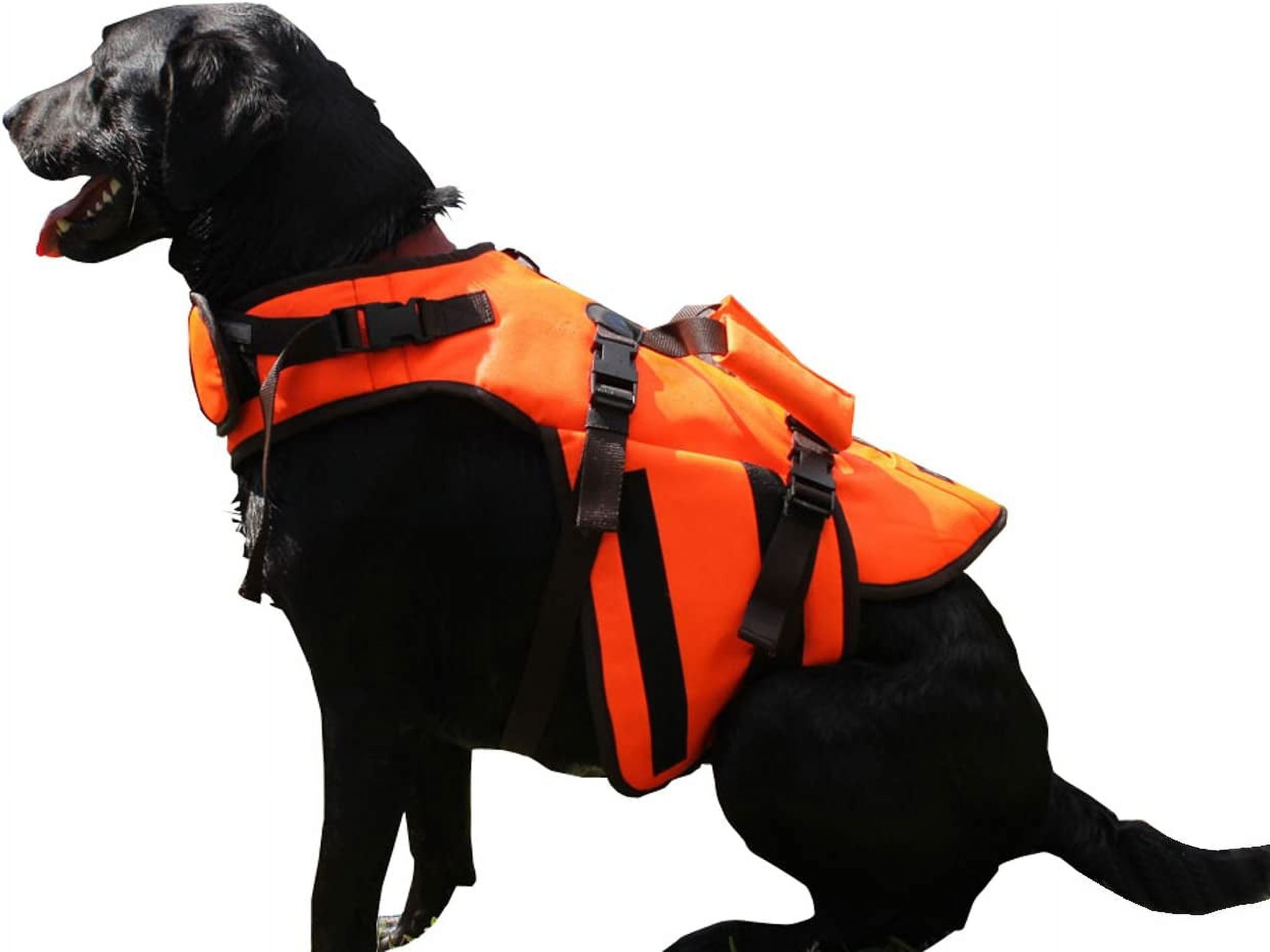 Dog life top jacket xs