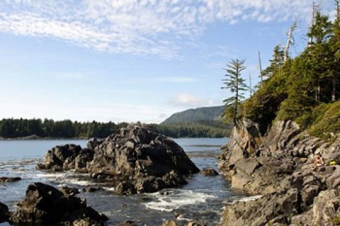 Outcrop Hot Springs Cove Vancouver Island British Columbia Canvas Art - Matt Freedman DanitaDelimont (22 x 15)
