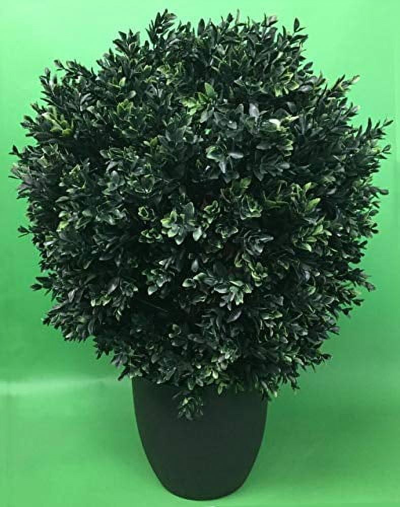 Outdoor 2 Foot Tall By 16 Wide Artificial Boxwood Topiary Bush Potted outdoor-2-foot-tall-by-16-wide-artificial-boxwood-topiary-bush-potted