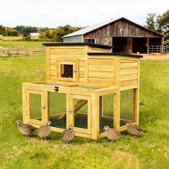 Outdoor 2-Tier 2-Room Quail Hutch with Brooder Box & Activity Area, Openable Asphalt Roof, Black with White