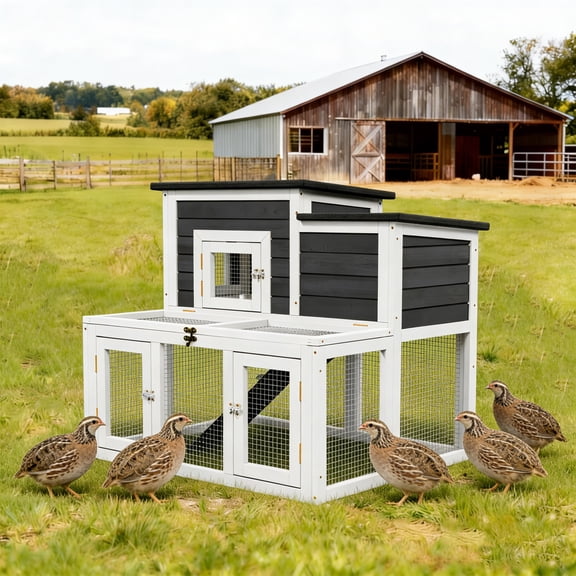 Outdoor 2-Tier 2-Room Quail Hutch with Brooder Box & Activity Area, Openable Asphalt Roof, Black with White