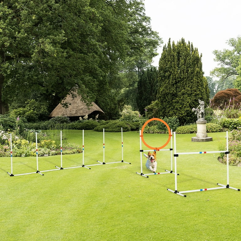 Pawhut agility equipment discount