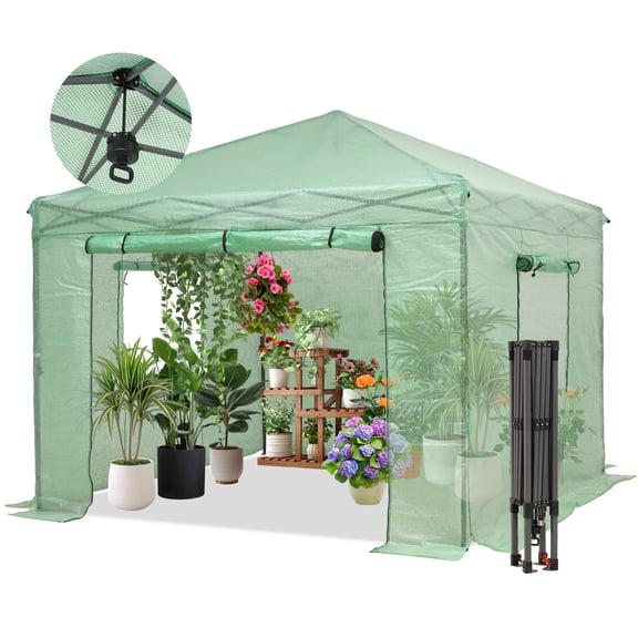 Outdoor Basic  10X10FT Pop-up Greenhouse, Walk-in Plant Gardening Green House with PE Cover/Roll-Up Zipper Doors/Side Windows for Patio, Backyard and Outside, Green