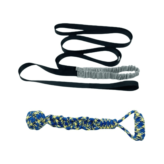Outdoor Bungee Tug Toy for Dogs, Interactive Hanging Chew Rope Exercise Toy with Elastic Tether, Durable Pull & Play Dog Training Toy for All Breeds