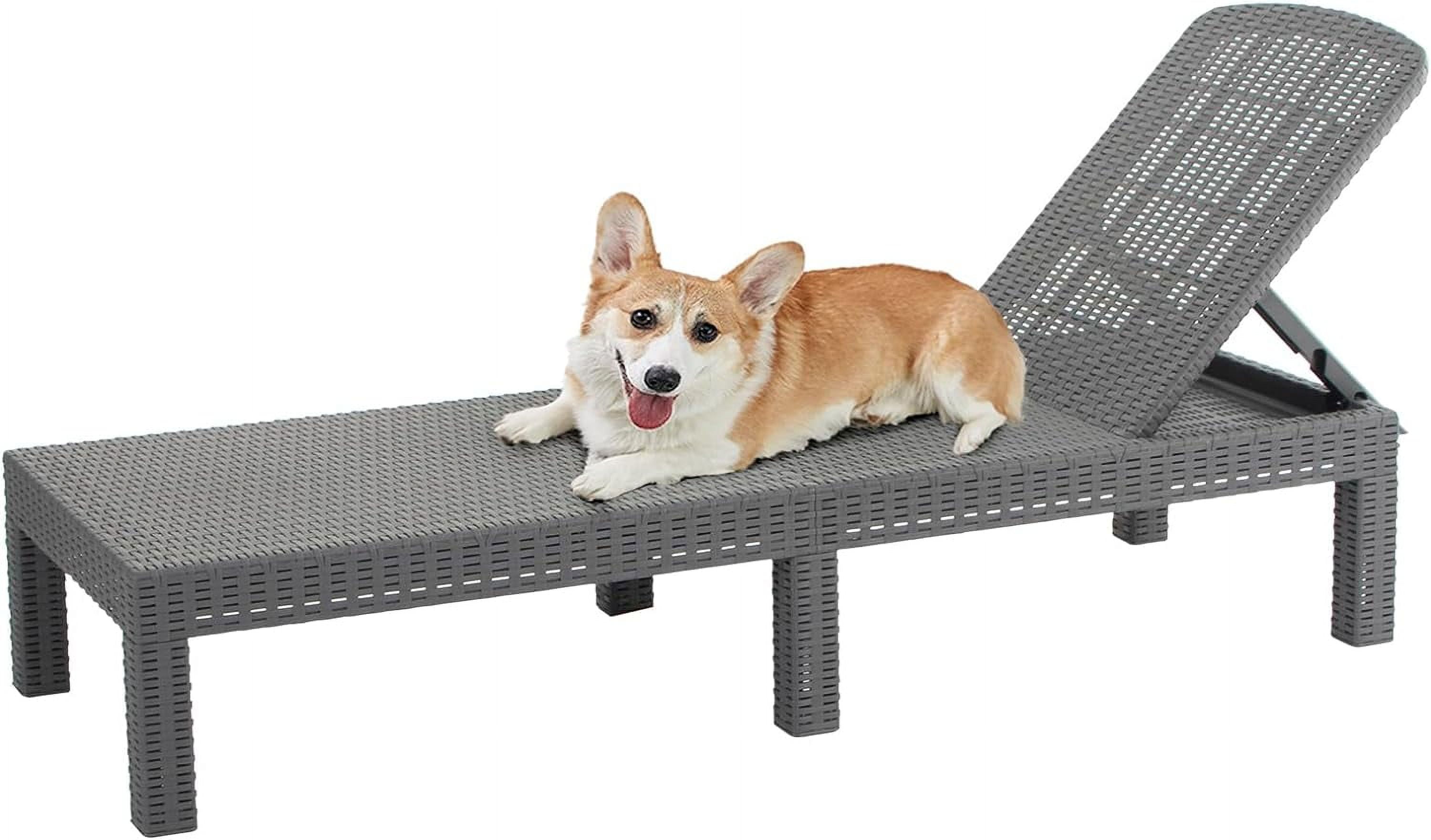 Outdoor Chaise Lounge,Resin Pool Lounge Chair Waterproof Recliner