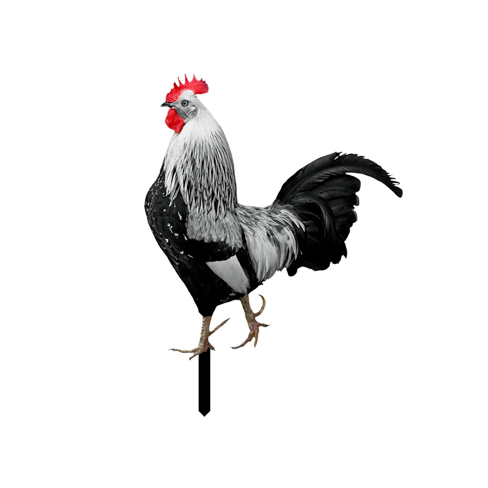 Outdoor Christmas Lights for Ground Blank Yard Signs with Bulk Garden