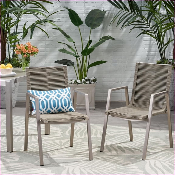 Outdoor Dining Chairs, Modern 2-Piece Rope Weave Set, Brushed Silver Frame for Patio Backyard | taupe | Aluminum