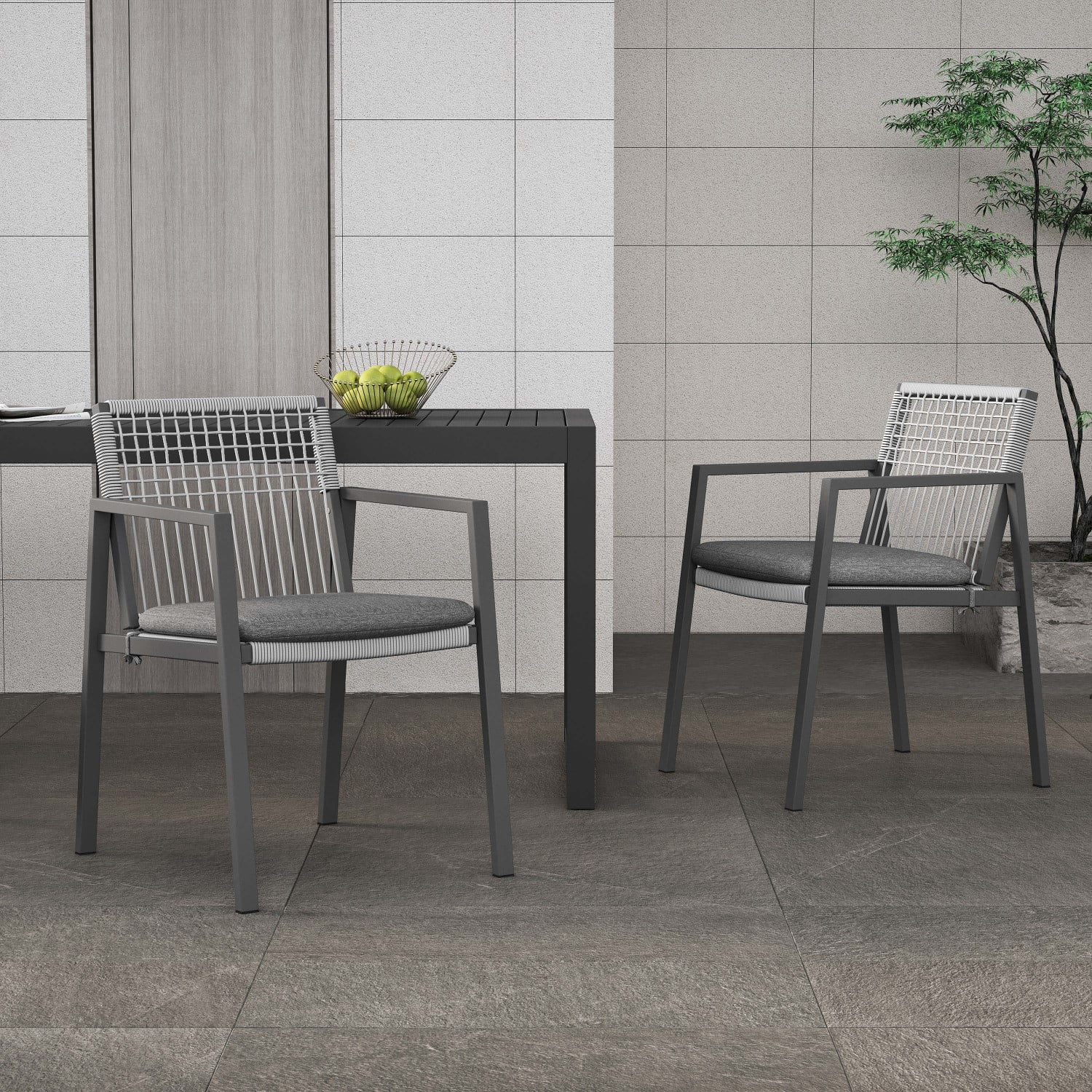 Outdoor Dining Chairs Set of 2, Aluminum Rope , Patio Balcony Chairs with Cushions