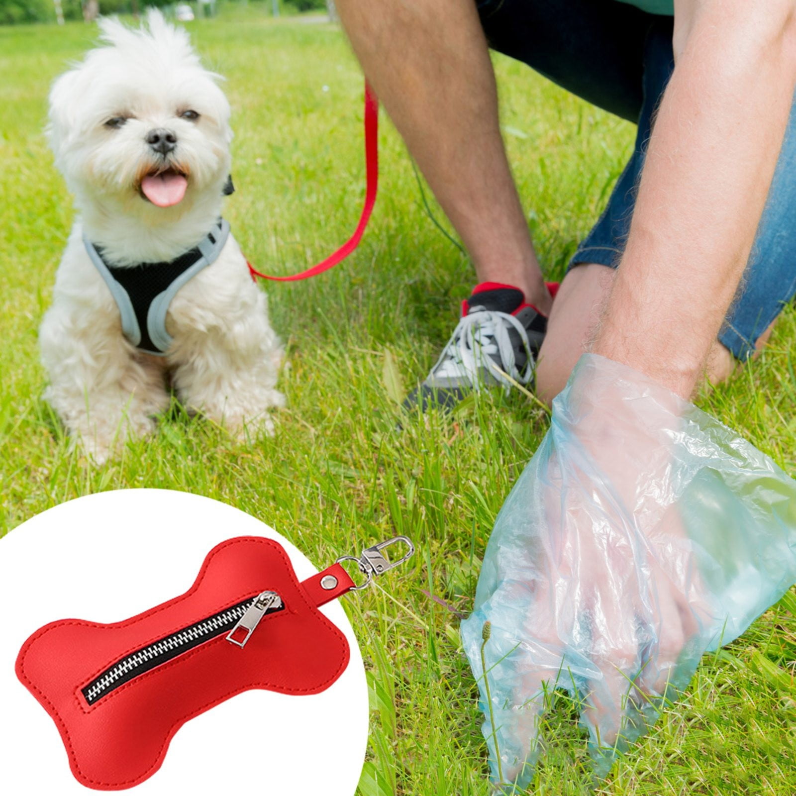 Outdoor Dog Waste Disposal System Pet Waste Disposal System in Ground