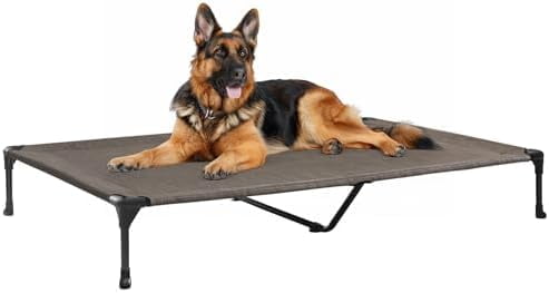 Outdoor Elevated Dog Bed Large Sized Dogs, XL Cooling Raised Dog Cots Beds Training Platform Off Ground Hammock with Breathable Mesh, No-Slip Feet, 49"x33", Brown