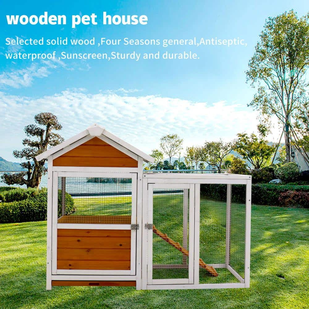 Outdoor Fir Chicken Coop Duck House Rabbit Hutch with Nesting Boxes and ...