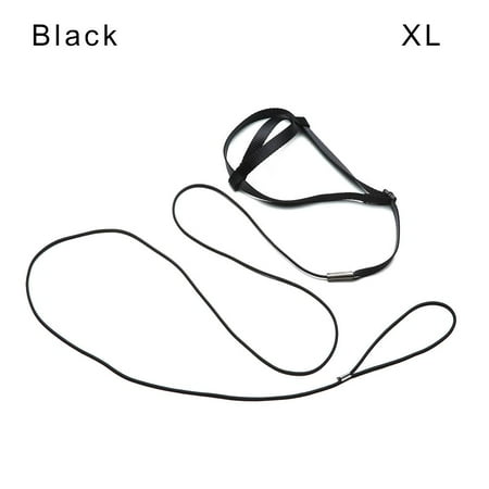 Outdoor Flying Traction Straps Band Training Flying Traction Rope Outgoing Leash Parrot Flying Rope Bird Leash Bird Harness Leash Parrot Harness BLACK XL