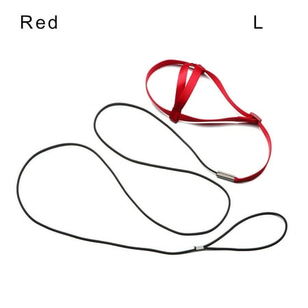 Outdoor Flying Traction Straps Band Training Flying Traction Rope Outgoing Leash Parrot Flying Rope Bird Leash Bird Harness Leash Parrot Harness RED L