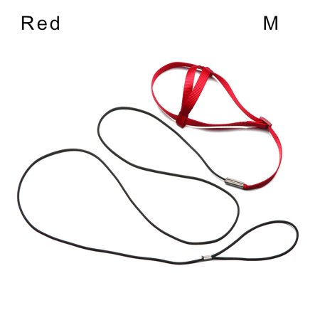 Outdoor Flying Traction Straps Band Training Flying Traction Rope Outgoing Leash Parrot Flying Rope Bird Leash Bird Harness Leash Parrot Harness RED M