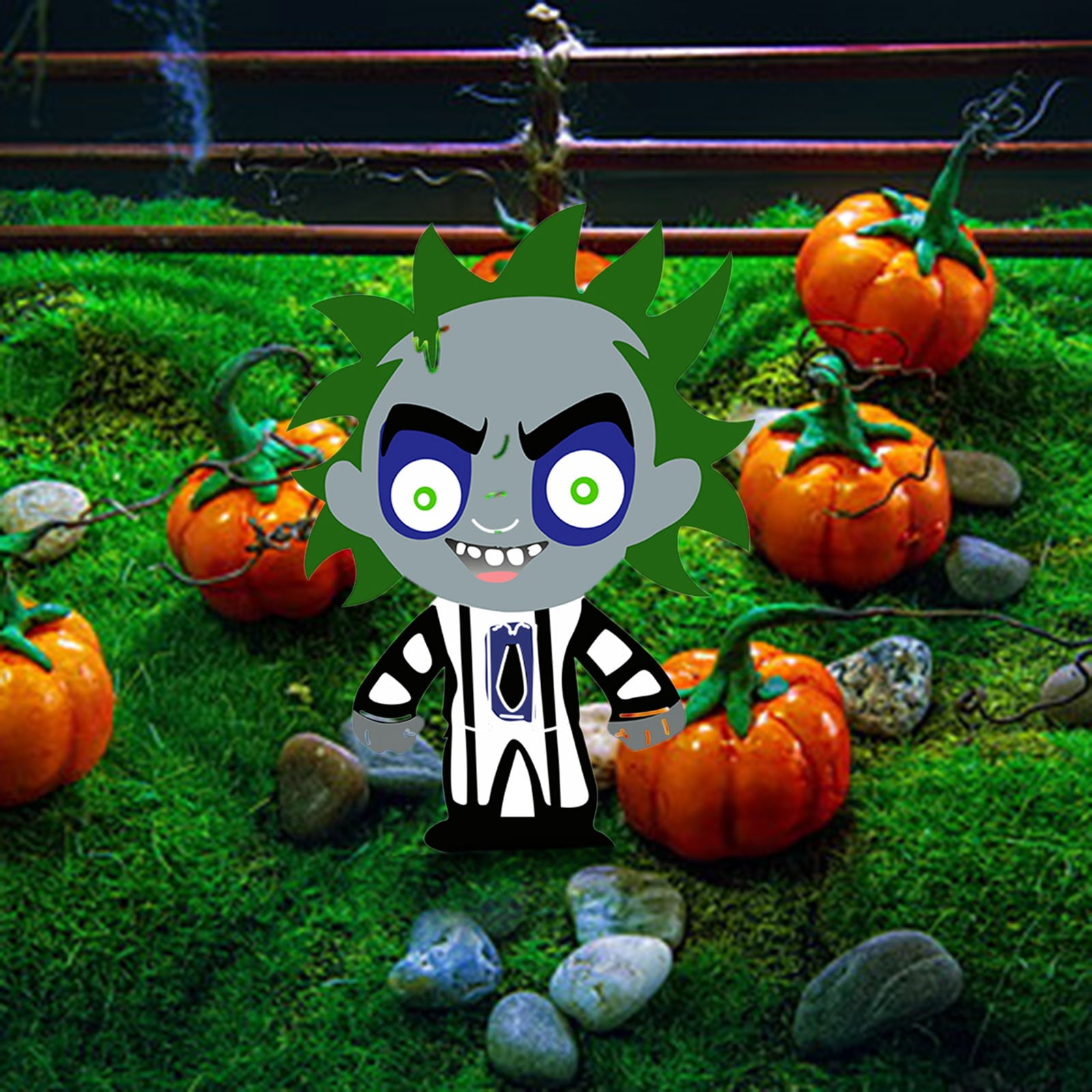 Outdoor Garden Lighted Street Address Signs Wind Socks Outdoor Wire