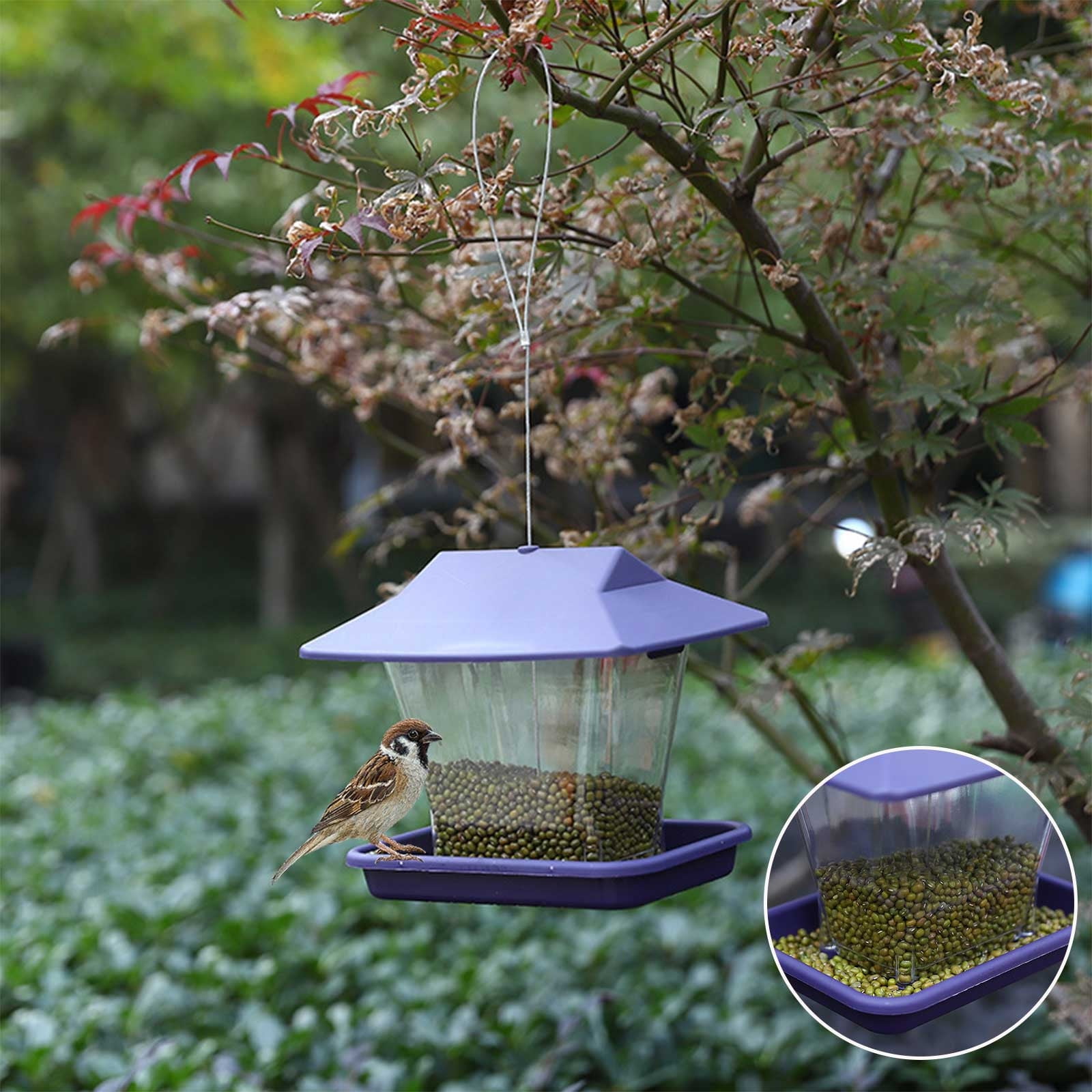 Image showcasing Outdoor Hanging Bird Feeder for Garden Yard | Plastic Clear Panels ...