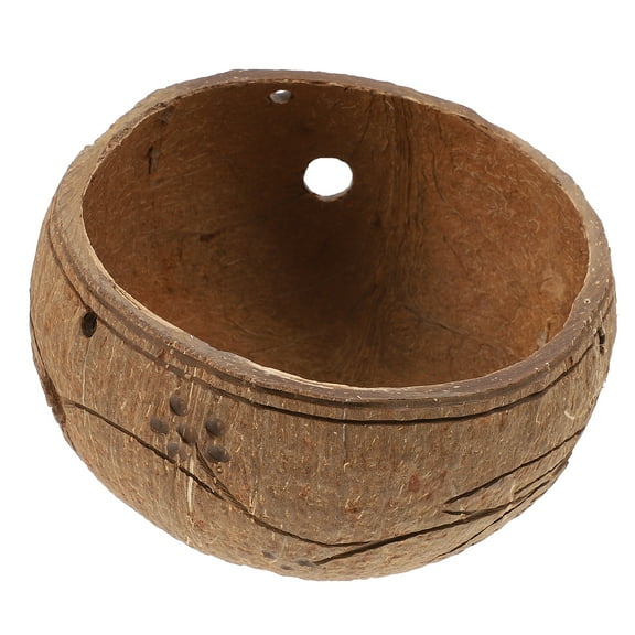 1pc Hanging Coconut Shell Plant Pot for Garden Decor and Succulents