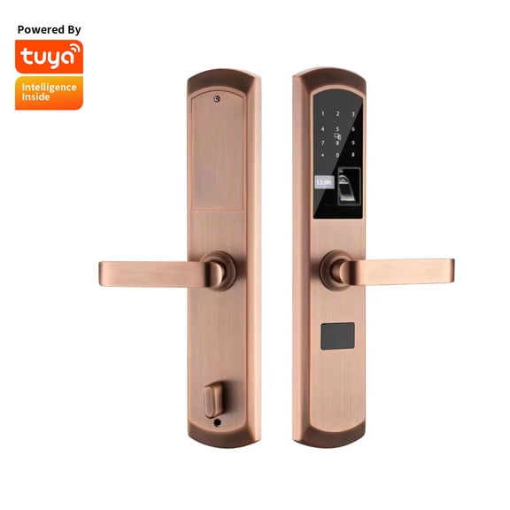 Outdoor Hotel Smart Lock, Tuya WiFi APP Fingerprint Keyless Lock with RFID Digital Access Function