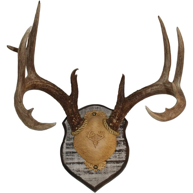 Outdoor Hunting Lab Deer Antler Mounting Plaque - Solid Poplar
