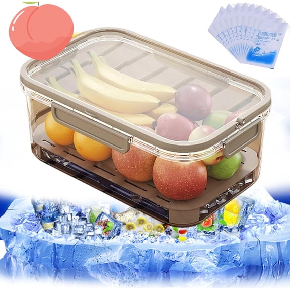 Outdoor Ice Preservation Box, Snackle Box Container with Ice Pack, Transparent Ice Storage Box with Handle & Drain Tray, Suitable for Storing Various Berries, Fruits, Vegetables, Meat, Etc (Brown)