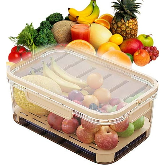 Outdoor Ice Preservation Box,Snackle Box with Ice Pack & Handle for Meat,Veggies, Portable Fresh Saver Cooler