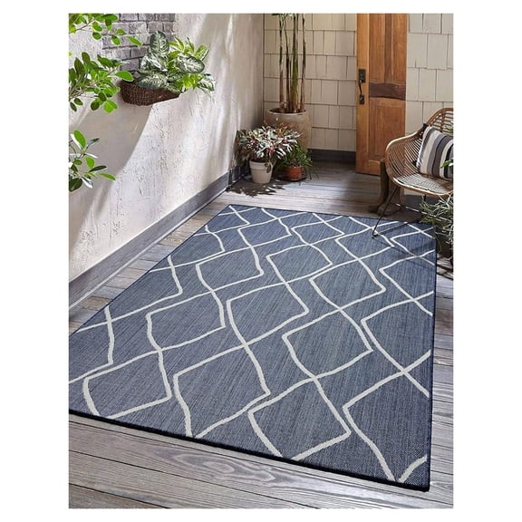 Outdoor Indoor Area Rug, Weather Resistant, Easy to Clean, Stain Resistant Floor Mat for Dining Room, Backyard, Deck, Patio (Aqua Weiss, 6' x 9')
