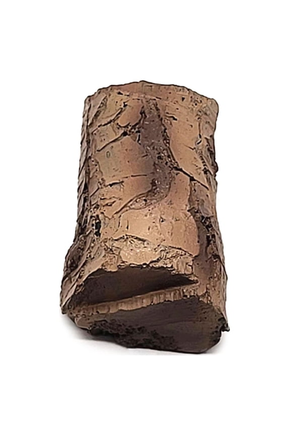 Outdoor Key Hider Key Holder Faux Wood Key Cash Hide Realistic Dead Wood Design, Weatherproof and Rust Resistant