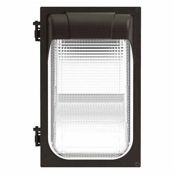 Outdoor LED Wall Pack,2950 lm,22 W Bulb