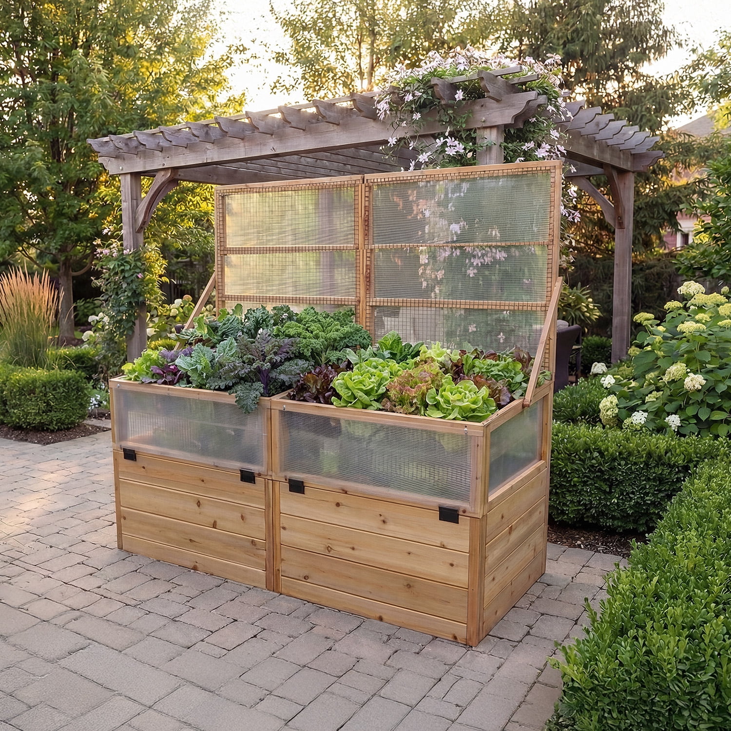 Outdoor Living Today Raised Garden Bed with Mini Greenhouse Western Red Cedar 6x3 1-Pack