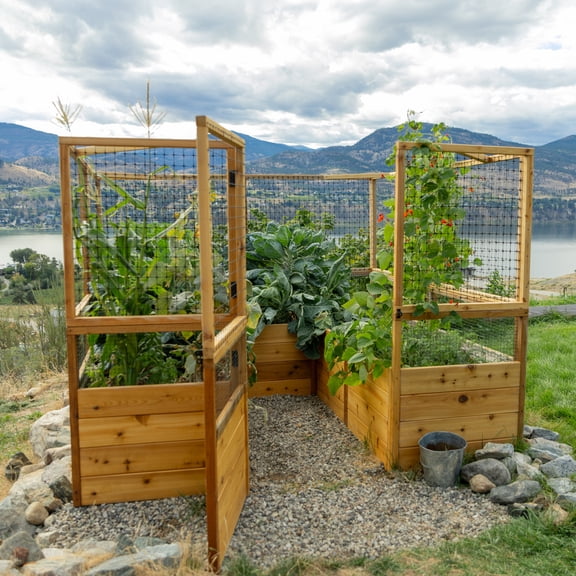 Outdoor Living Today 8x8 Western Red Cedar Raised Garden Bed with Deerfence