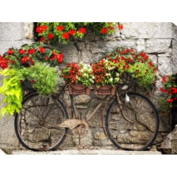 Outdoor Living and Style Green and Red Rusty Bicycle Outdoor Canvas Rectangular Wall Art Decor 30" x