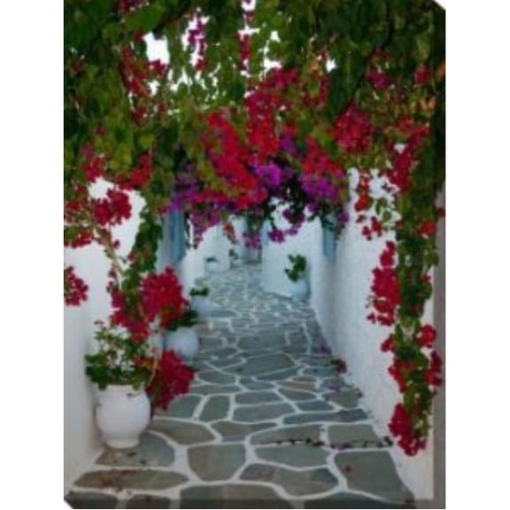 Outdoor Living and Style Pink and White Bougainvillea Path Outdoor Canvas Rectangular Wall Art Decor