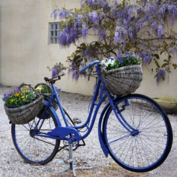 Outdoor Living and Style Purple and Blue Bike with Bouquets Canvas Outdoor Square Wall Art Decor 24"