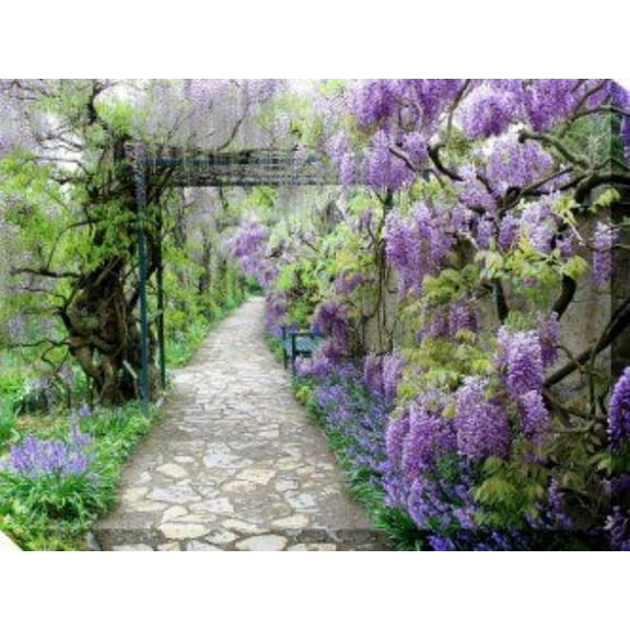 Outdoor Living and Style Purple and Green Wisteria Path Outdoor Canvas Rectangular Wall Art Decor