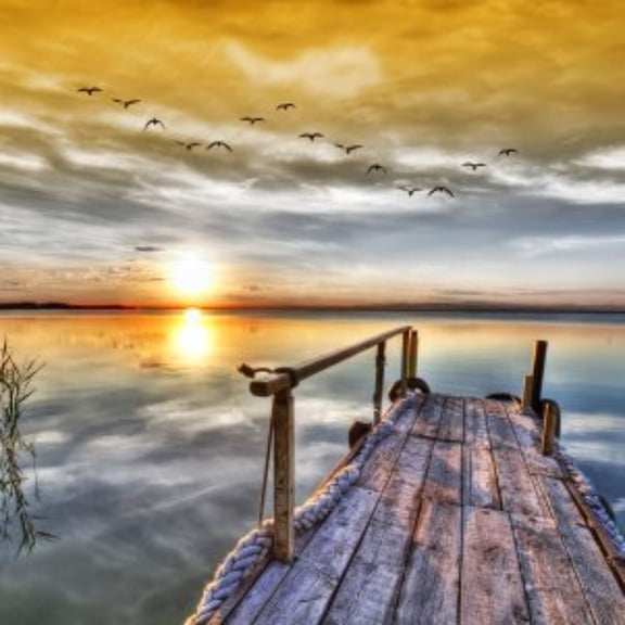 Outdoor Living and Style Vibrantly Colored Still Standing Outdoor Canvas Square Wall Art Decor 24" x