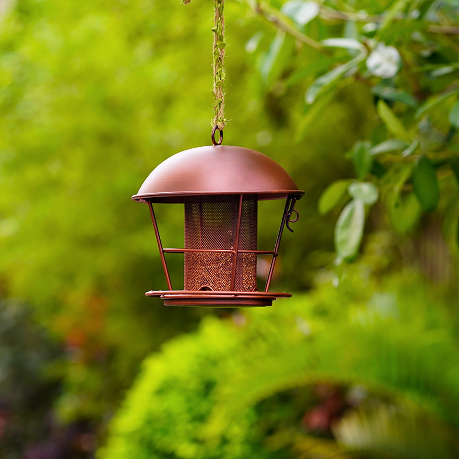 Outdoor Metal Dome Bird Feeder Garden Wrought Iron Decor, Hummingbird Feeder, Bird Feeder, Bird Feeder for Outdoors Hanging, Window Bird Feeder