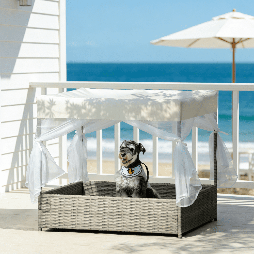 Outdoor PE Wicker Dog Bed with Curtain, Weather-Resistant Pet Patio Furniture