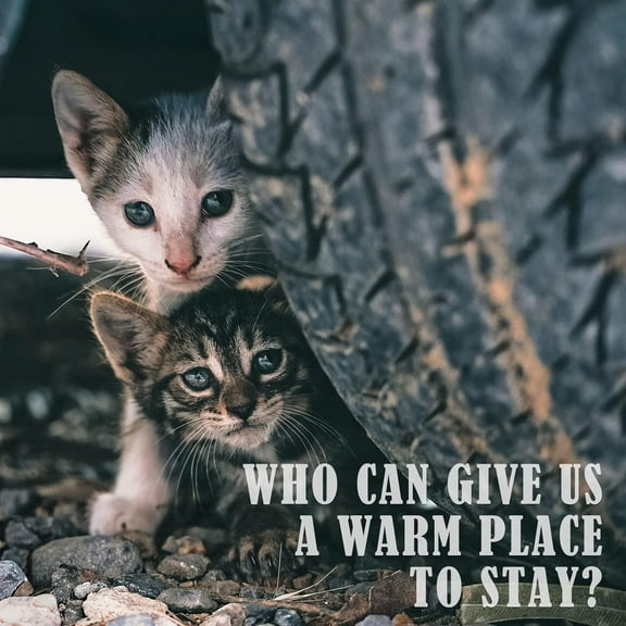 Outdoor Pet Heating Pad for Cats House,Safe Electric Warming Pad,Waterproof Heated House for Outside Feral Animal,Outdoor Heat Dog Bed Mat, 20"X16"