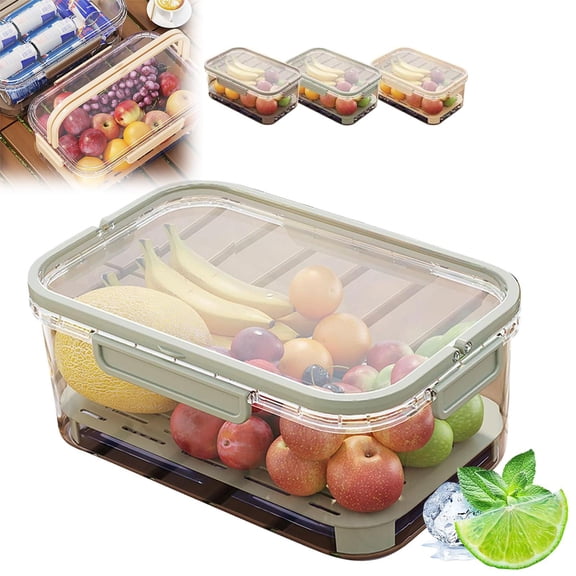 Outdoor Picnic Preservation Box - Leak-Resistant Dual-Layer Storage w/ Ice Pack & Handle, Sealed Fruit Container for Camping/Hiking