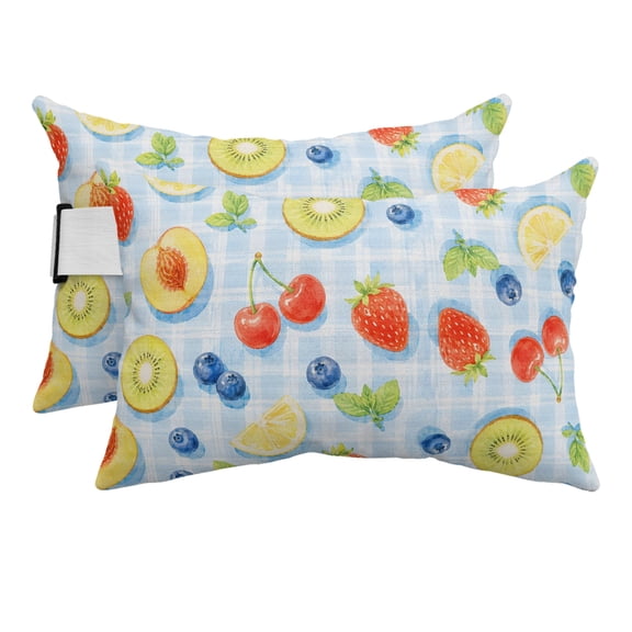 Outdoor Pillow for Chaise Lounge Chair Summer Fruit Slices Peach Pattern Headrest Pillow Set of 2,11x16 inch, Blue Gingham Backdrop Waterproof Head Lumbar Pillows for Patio Pool Beach