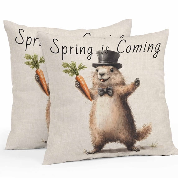 Outdoor Pillow Cover Groundhog Carrot Set of 2 Waterproof Throw Pillowcases Spring Is Coming Decorative Patio Furniture Pillows for Couch Garden Indoor & Outdoor Use