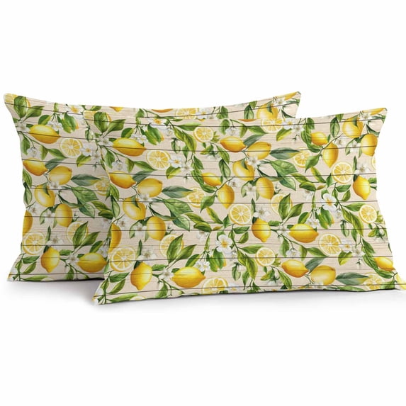 Outdoor Pillow Cover Watercolor Lemon Leaves Set of 2 Waterproof Throw Pillowcases Fruit Floral Wood Grain Decorative Patio Furniture Pillows for Couch Garden Indoor & Outdoor Use