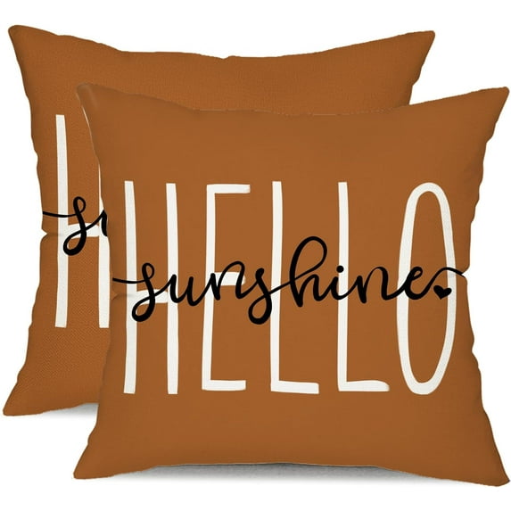 Outdoor Pillow Covers 18x18 Inch Set of 2 Hello Sunshine Decor Rust Waterproof Summer Outdoor Pillowcases Decor for Patio Funiture Garden Sofa Couch 020L18