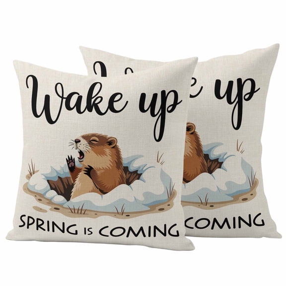 Outdoor Pillow Covers 20 x 20 Inches, Cartoon Groundhog Waterproof Throw Pillow Cover Set of 2, Wake Up Spring Is Coming Country Decorative Square Cushion Covers for Patio/Tent/Couch/Garden